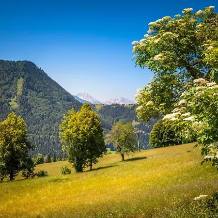 Apartment In Near Hiking Trails, Cleaning Included *