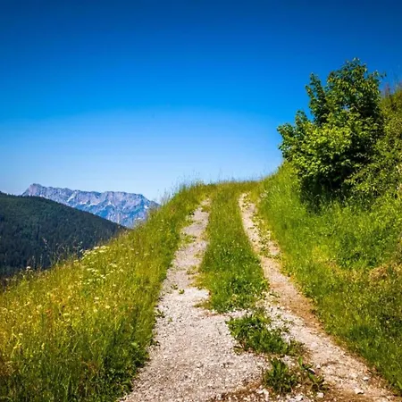 In Near Hiking Trails, Cleaning Included Apartment *